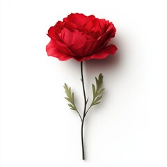 A vibrant red flower blooms on a slender stem adorned with lush green leaves, showcasing nature's beauty and elegance.