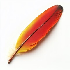 A vibrant red and yellow feather rests elegantly on a clean white surface, showcasing its intricate details and colors.