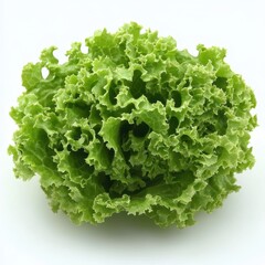A detailed close-up of a fresh green lettuce leaf displayed on a clean white surface, highlighting its crisp texture and vibrant color.