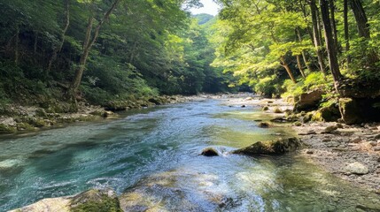Serene Mountain Stream in Lush Forest