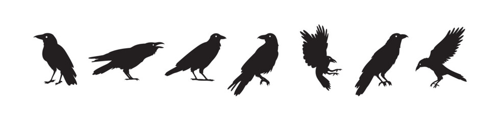 Crow isolated black silhouette set. Crows, raven halloween Dark birds icon clipart