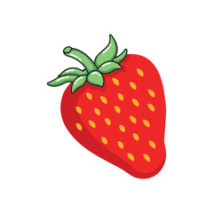 Strawberry fruit vector illustration isolated on white background.