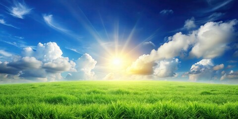 Obraz premium Serene Meadow Basking in Golden Sunlight with Puffy Clouds and a Vibrant Blue Sky