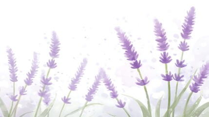 Naklejka premium Watercolor Painting of Lavender Flowers in Bloom