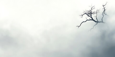 Lonely dead tree in fog, misty mountain landscape, serene nature scene, perfect for meditation or tranquility themes