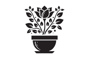 flower in a pot