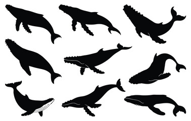 Set of black whale silhouettes vector illustration