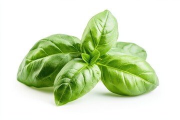 Two fresh green basil leaves are elegantly positioned on a clean white surface, showcasing their vibrant color and natural texture.