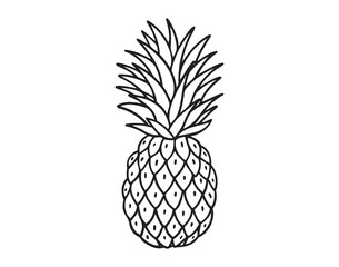 Obraz premium Pineapple fruit doodle hand drawn icon. Outline drawing Pineapple line clipart symbol