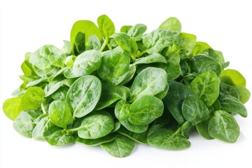 Fototapeta premium A detailed close-up view of fresh spinach leaves arranged neatly on a clean white surface, showcasing their vibrant green color and texture.