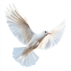 Obraz premium Arafed white bird soars gracefully in the sky, wings fully spread, showcasing its elegance and freedom in mid-flight.