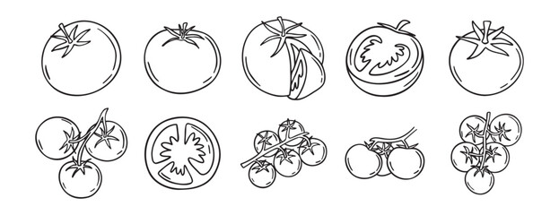 Tomato vegetable sketch doodle hand drawn icon set. Outline drawing fresh tomato line clipart symbol