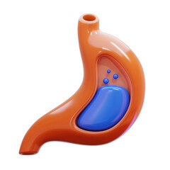 stomach 3d icon illustration