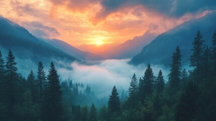 Obraz premium Dramatic mountain valley sunrise with fog rolling through evergreen trees and vibrant orange sky creating a serene scene