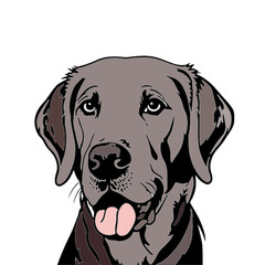 Fototapeta premium dog