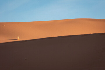 Erg Chebbi moroccan desert with blue sky
