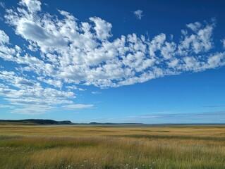 Obraz premium A partly cloudy sky with soft, scattered clouds drifting across a bright blue expanse, peaceful and open