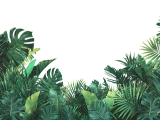 Lush Tropical Foliage Background with Vibrant Green Monstera Deliciosa Leaves