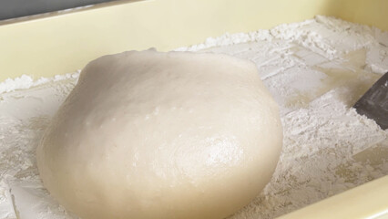 日本の正月行事　つきたての餅の塊