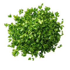 Obraz premium Freshly Harvested Organic Parsley Leaves Spread on White Background with Copy Space