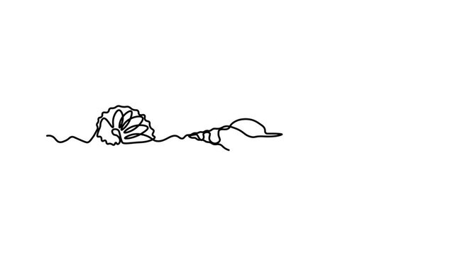 Three different shells in a row, Self drawing animation one continuous line draw, logo