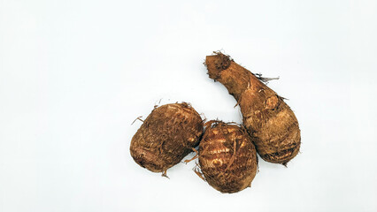 taro・サトイモ・里芋・さといも・土垂・사쿠라・Colocasia esculenta