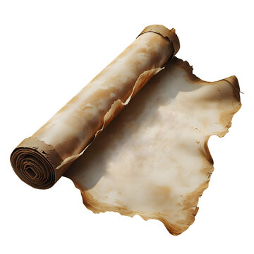 Antique Rolled Parchment with Tattered Edges