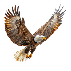 Obraz premium Majestic Bald Eagle in Flight: A Symbol of Freedom and Power