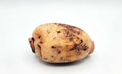 Fototapeta premium lotus root・蓮根・연근・ハス・レンコン・れんこん・ハスの根・傷物・damaged item・defective article・흉터
