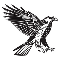 Eagle silhouette vector art on white background