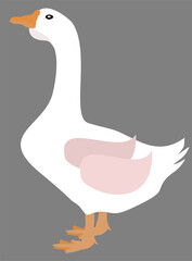 illustration of a duck