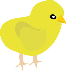 Chicks
