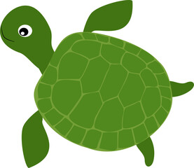 turtle
