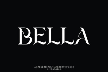 Unique elegant decorative serif alphabet display font vector illustration