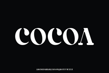 Unique bold rounded serif alphabet display font vector for branding design