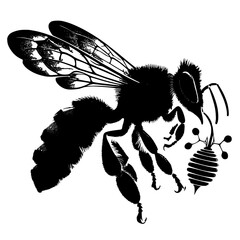 bee and Flower seeds