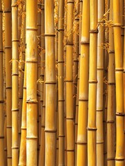 Naklejka premium A lush bamboo grove showcases vibrant yellow stalks under soft daylight