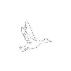 Animal Line Art