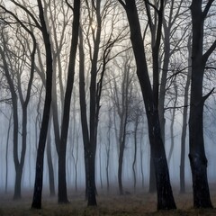 Naklejka premium Whispers of Dawn: Black Poplars Shrouded in Soft Morning Mist