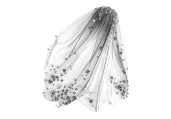 Bridal wedding veil.