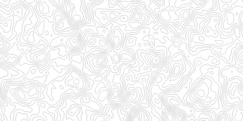 topography white background and black line wireframe isoline  location diagram world map texture design.