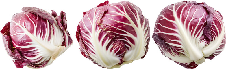 Fototapeta premium Radicchio isolated on transparent background heads of radicchio png