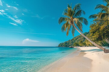 A serene tropical beach with crystal clear turquoise water, white sand, and palm trees, A palm tree-lined beach with crystal clear blue water and a cloudless sky