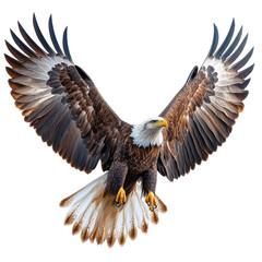 Obraz premium Majestic Bald Eagle in Flight: A Symbol of Freedom and Power