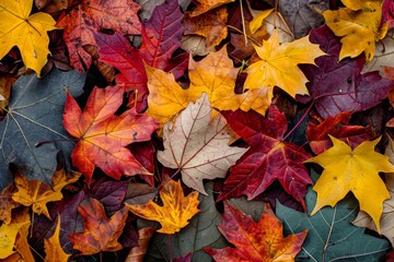 Fototapeta premium Close-up photo of fall leaves in shades of red, orange, yellow, and brown, highlighting autumns beauty, Crisp crunch of foliage underfoot