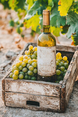 Fototapeta premium Dessert Wine, A high-quality image depicting a vineyard scene featuring a dessert wine bottle, ideal for food and drink-related themes.