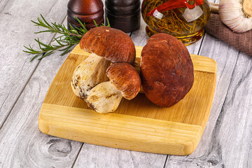 Raw natural wild porchini mushrooms