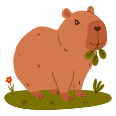 Funny capybara. Exotic rodent eating leaves. Hand drawn vector illustration.