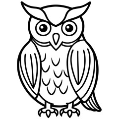 owl on white background