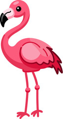 pink flamingo bird